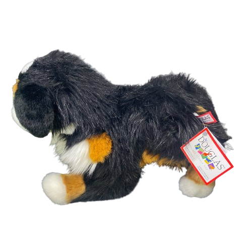 Douglas Trevor Bernese Mountian Dog